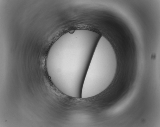 X0000113940767200909250939