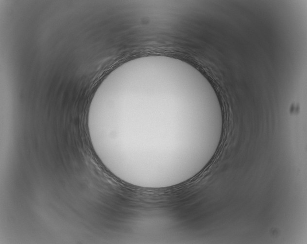 X0000113940768200909250939
