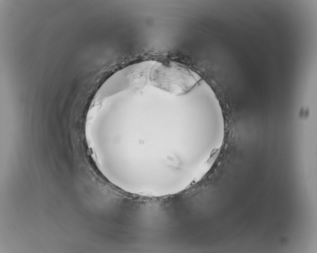 X0000113940769200909250939