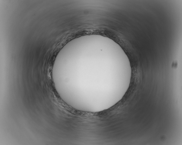 X0000113940770200909250939