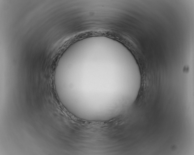 X0000113940773200909250939