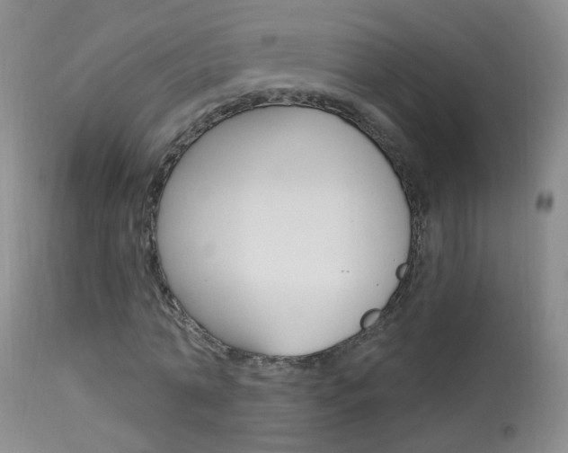 X0000113940774200909250939