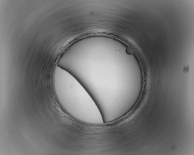 X0000113940777200909250938