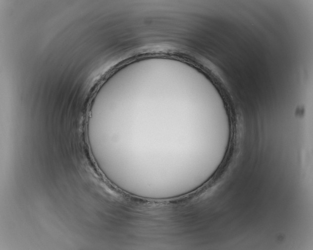 X0000113940778200909250938