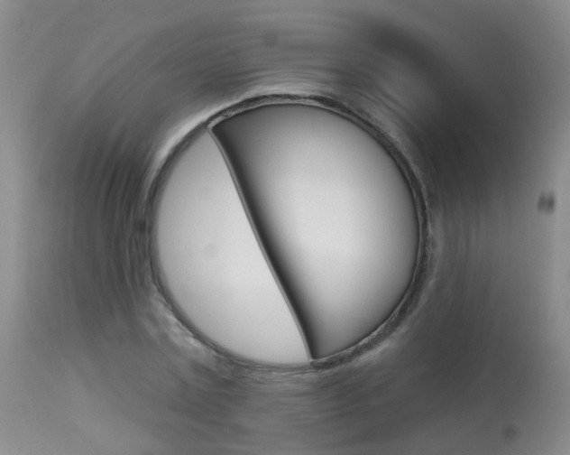 X0000113940779200909250938