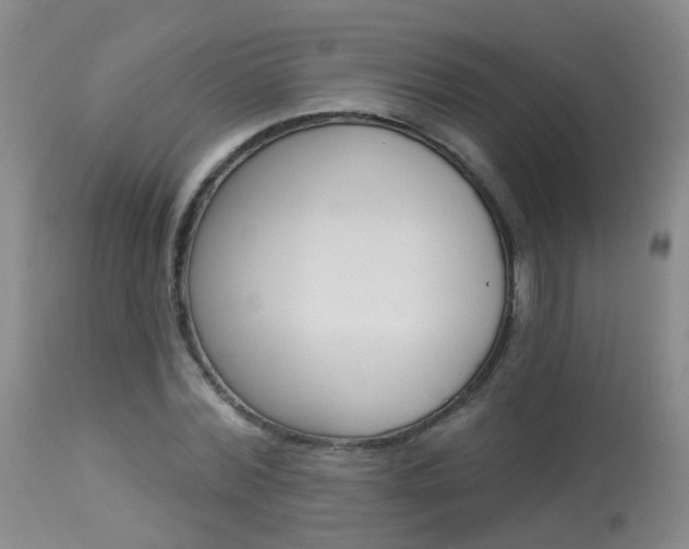 X0000113940780200909250938