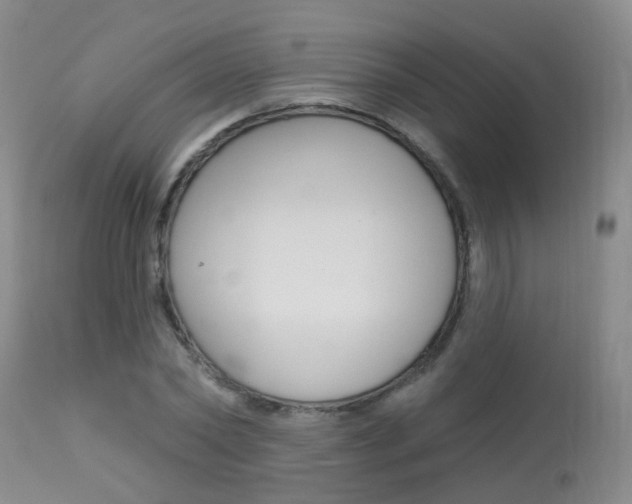 X0000113940782200909250938