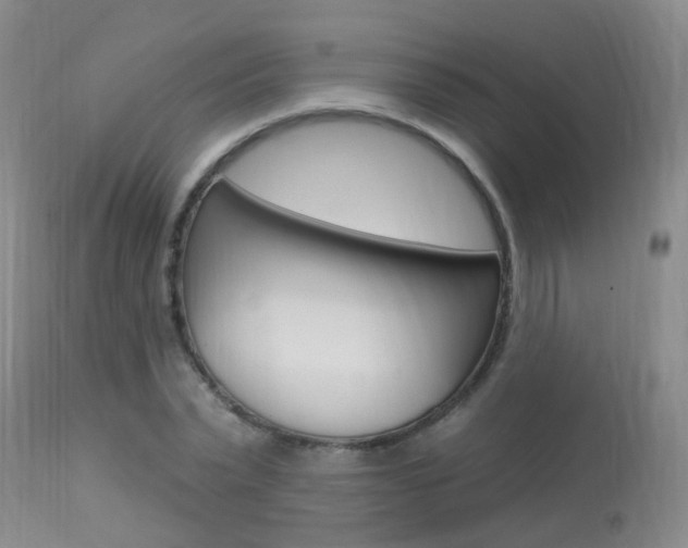 X0000113940783200909250938