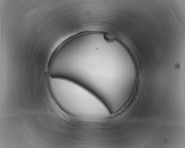 X0000113940787200909250938