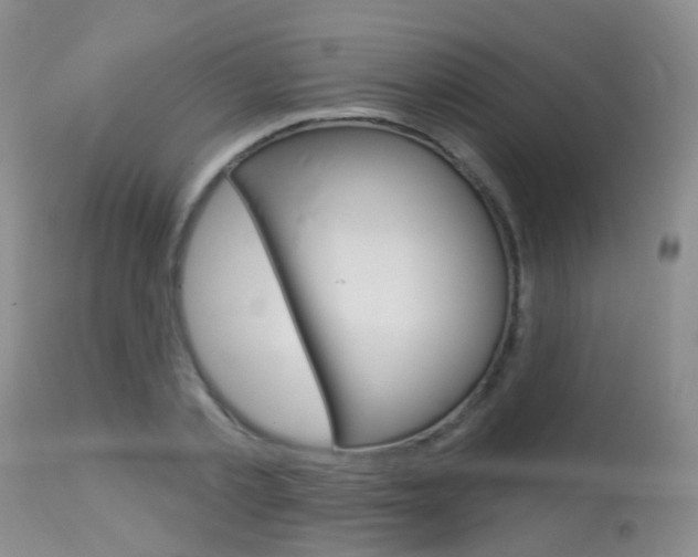 X0000113940789200909250938