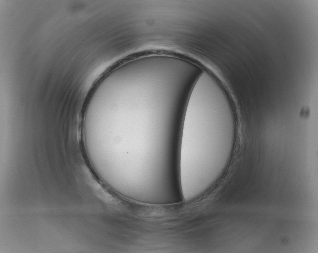 X0000113940791200909250938