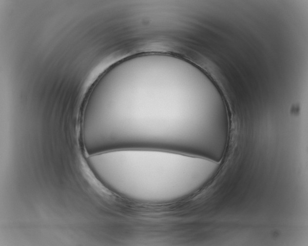 X0000113940795200909250938