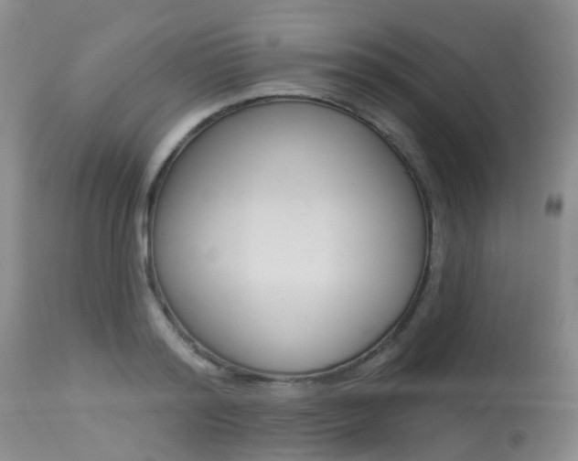 X0000113940796200909250938