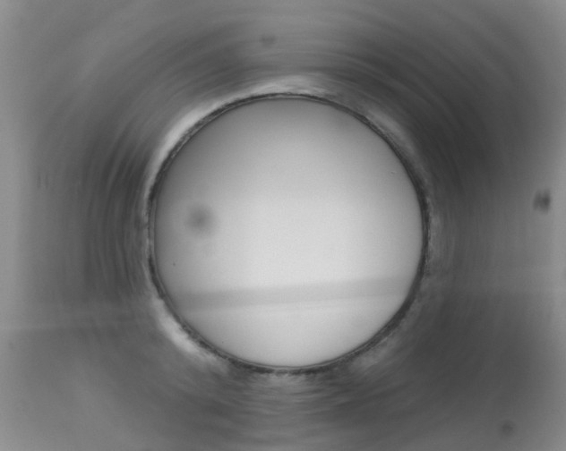 X0000113940800200909250938