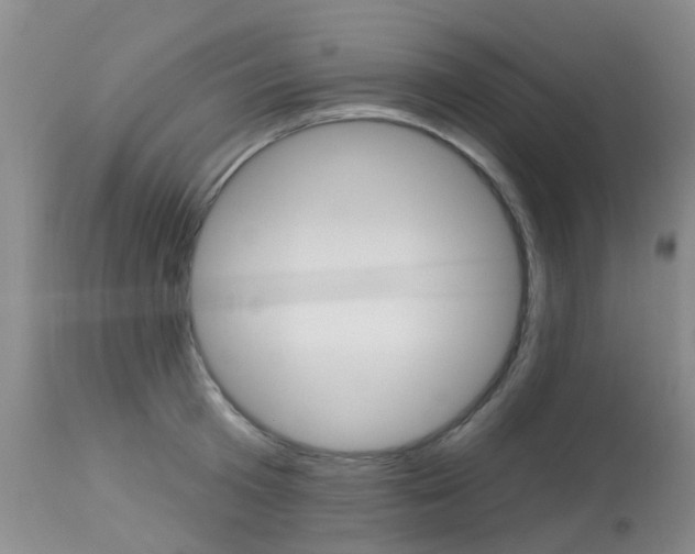 X0000113940801200909250938