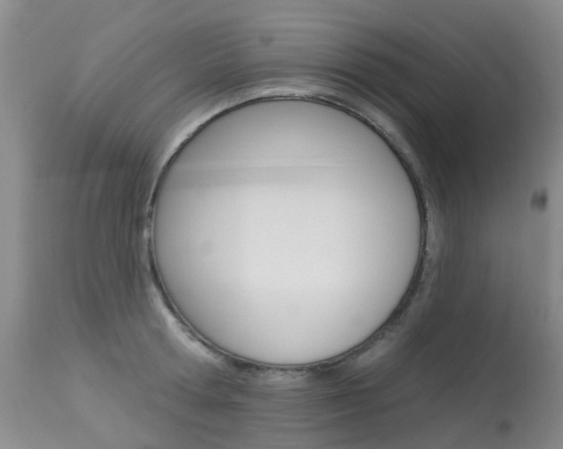 X0000113940802200909250938