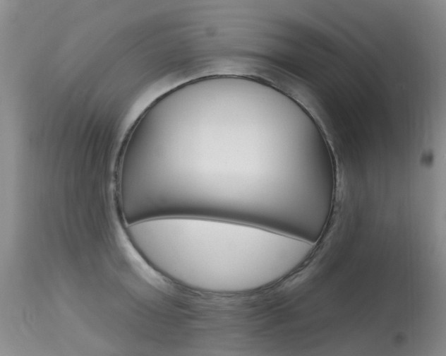 X0000113940803200909250938