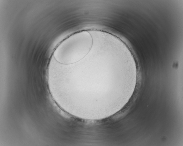 X0000113940807200909250938