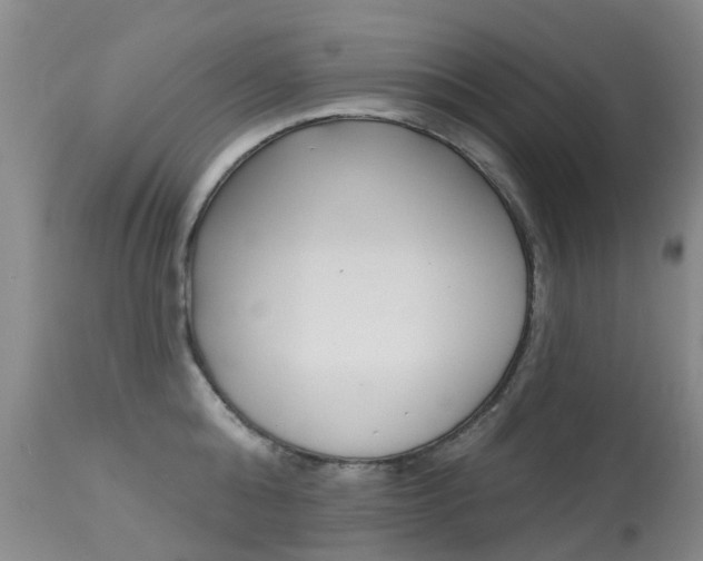 X0000113940808200909250938