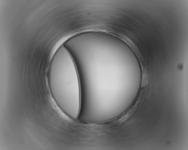 X0000113940812200909250938