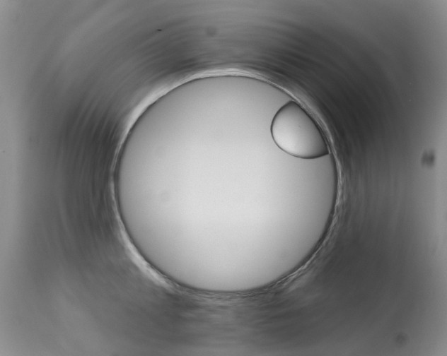 X0000113940813200909250938