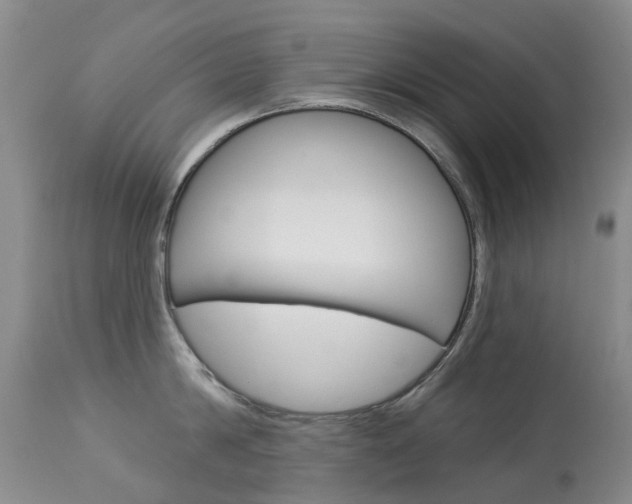 X0000113940814200909250938