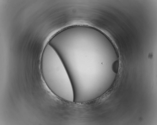 X0000113940815200909250938