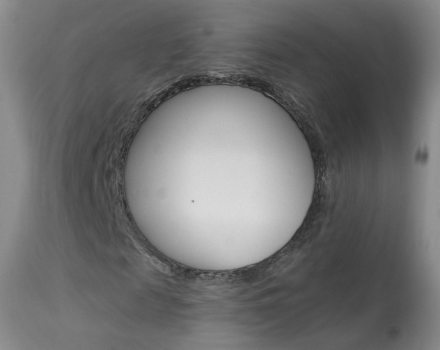 X0000113940817200909250937