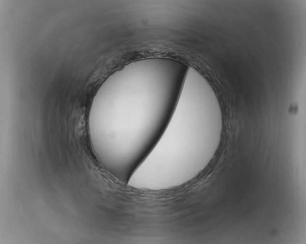 X0000113940818200909250937