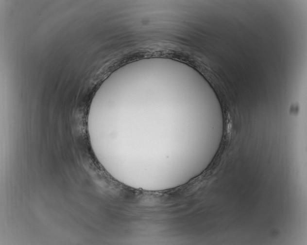 X0000113940819200909250937