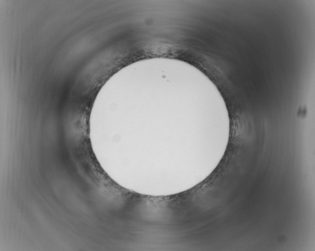 X0000113940820200909250937