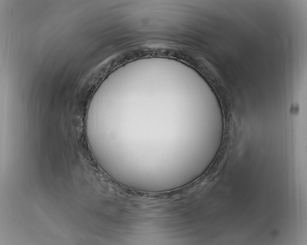X0000113940821200909250937