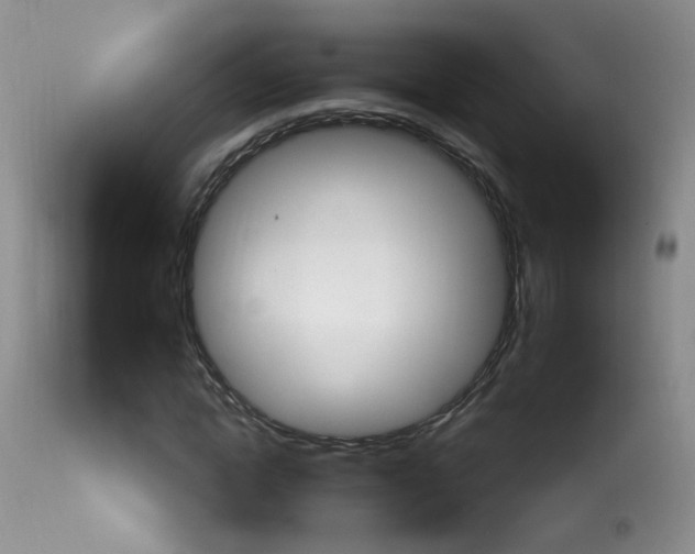 X0000113940822200909250937