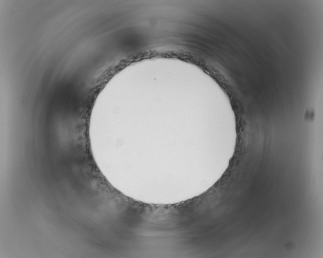 X0000113940824200909250937