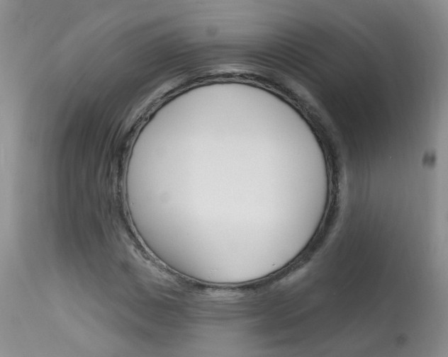 X0000113940825200909250937