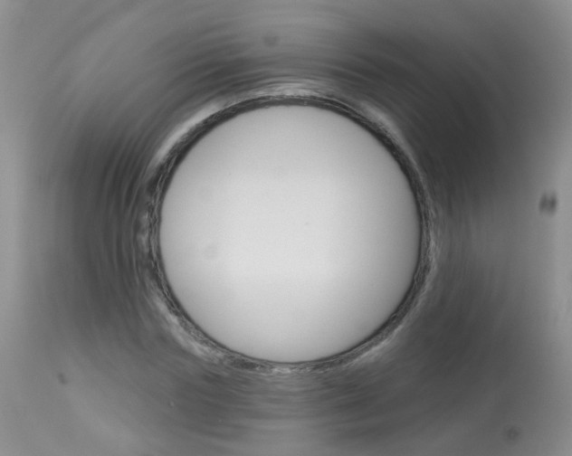 X0000113940827200909250937