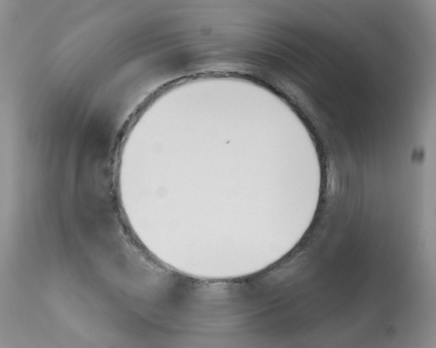 X0000113940828200909250937