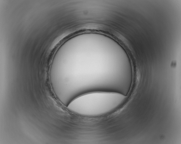 X0000113940829200909250937