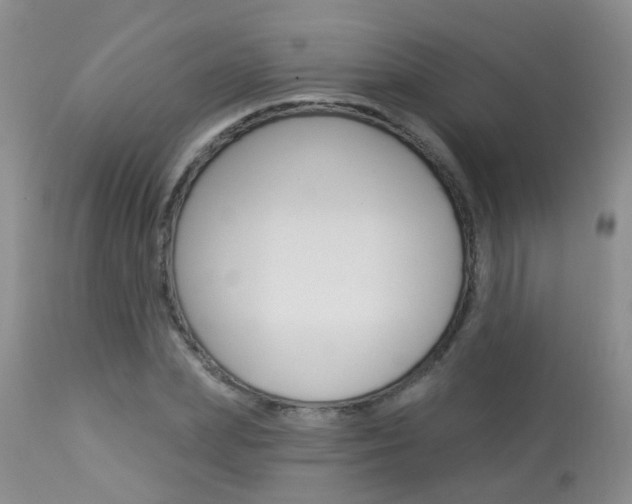 X0000113940831200909250937