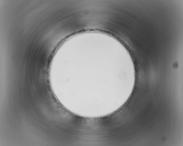 X0000113940832200909250937