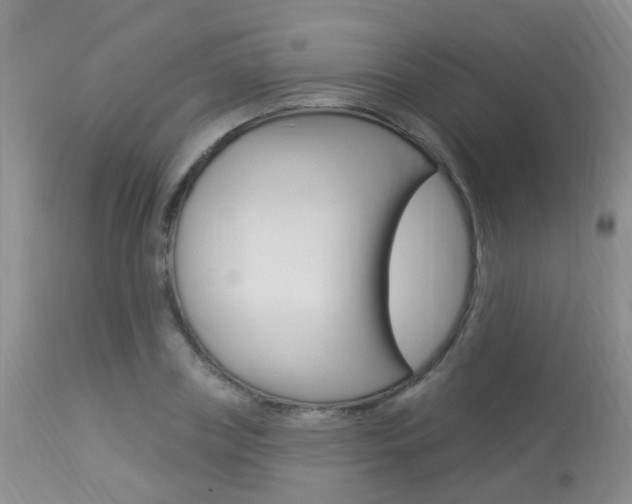 X0000113940835200909250937