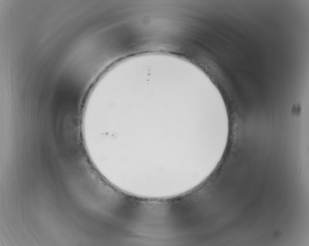 X0000113940836200909250937