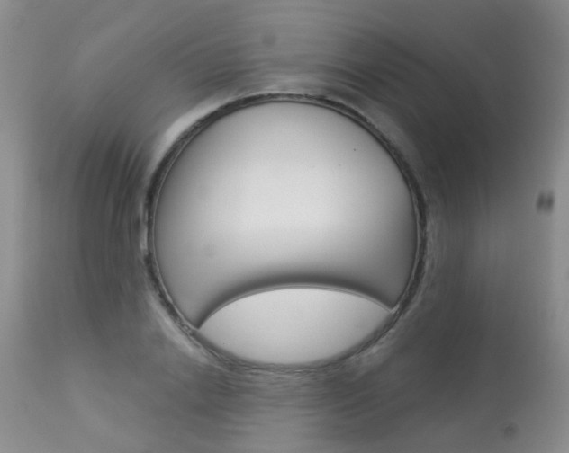 X0000113940838200909250937