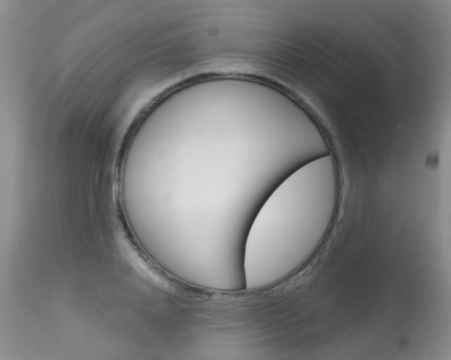X0000113940840200909250937