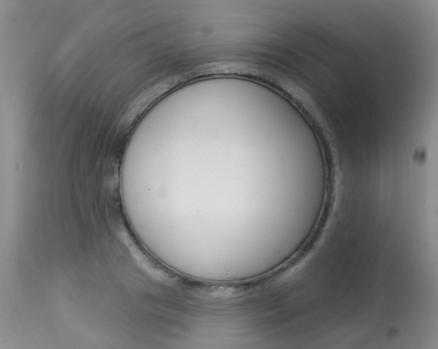 X0000113940841200909250937