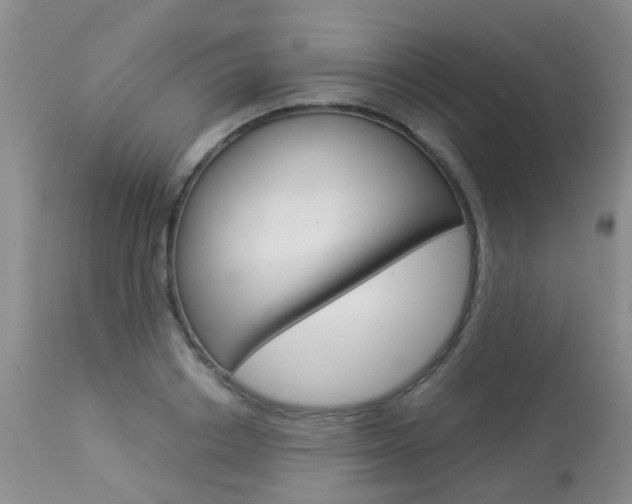 X0000113940842200909250937