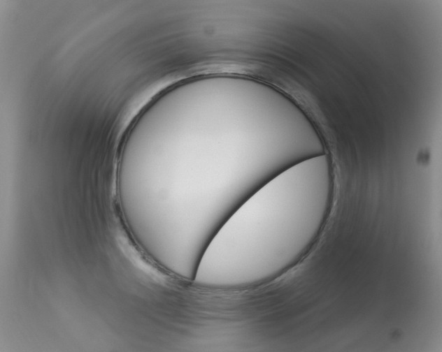 X0000113940844200909250937