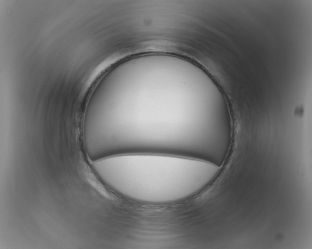 X0000113940846200909250938