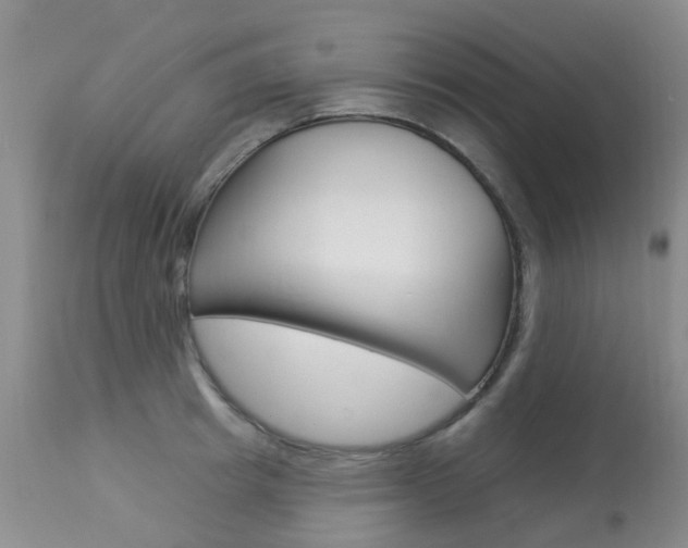 X0000113940849200909250938