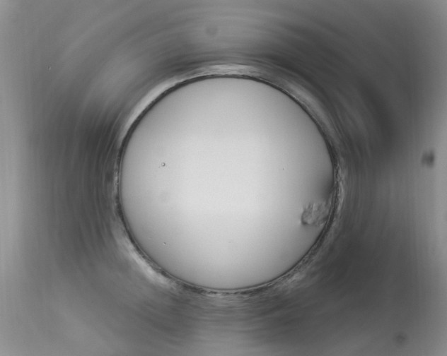 X0000113940852200909250938